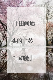 田间地头的“芯”动能