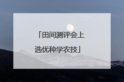 田间测评会上选优种学农技