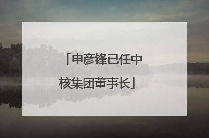 申彦锋已任中核集团董事长