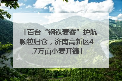 百台“钢铁麦客”护航颗粒归仓，济南高新区4.7万亩小麦开镰