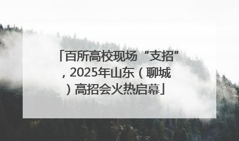 百所高校现场“支招”，2025年山东（聊城）高招会火热启幕