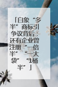 白象“多半”商标引争议背后：还有企业曾注册“一倍半”“一大袋”“1桶半”