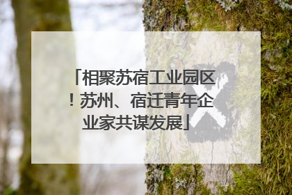 相聚苏宿工业园区！苏州、宿迁青年企业家共谋发展