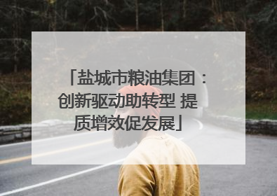 盐城市粮油集团：创新驱动助转型 提质增效促发展