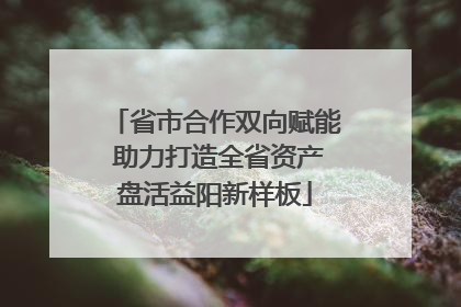 省市合作双向赋能 助力打造全省资产盘活益阳新样板