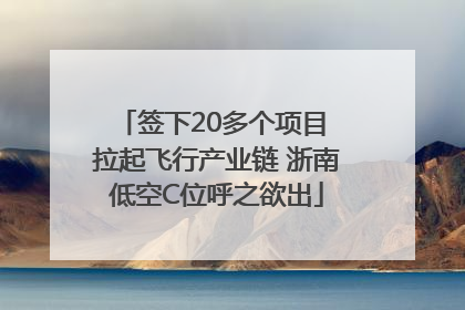 签下20多个项目 拉起飞行产业链 浙南低空C位呼之欲出