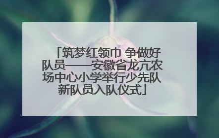 筑梦红领巾 争做好队员——安徽省龙亢农场中心小学举行少先队新队员入队仪式
