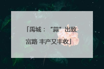 禹城：“蒜”出致富路 丰产又丰收