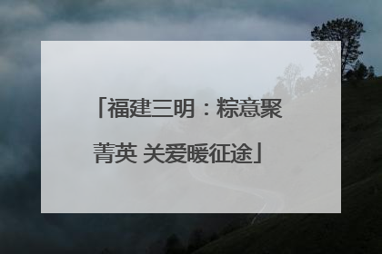 福建三明：粽意聚菁英 关爱暖征途