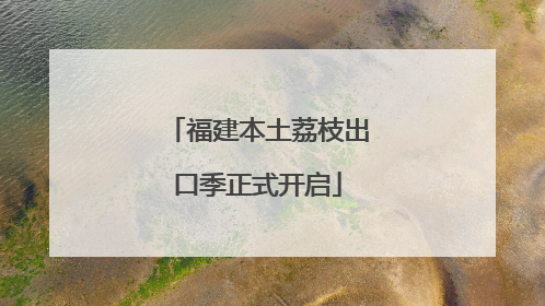 福建本土荔枝出口季正式开启