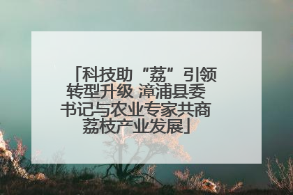 科技助“荔”引领转型升级 漳浦县委书记与农业专家共商荔枝产业发展
