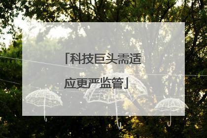 科技巨头需适应更严监管