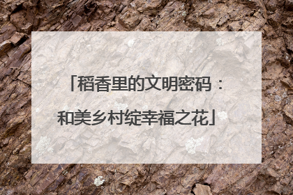 稻香里的文明密码：和美乡村绽幸福之花