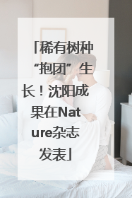 稀有树种“抱团”生长！沈阳成果在Nature杂志发表