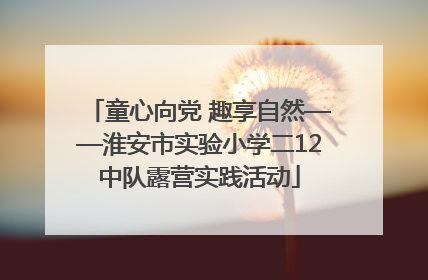 童心向党 趣享自然——淮安市实验小学二12中队露营实践活动