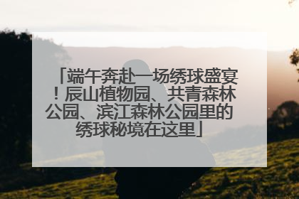 端午奔赴一场绣球盛宴！辰山植物园、共青森林公园、滨江森林公园里的绣球秘境在这里