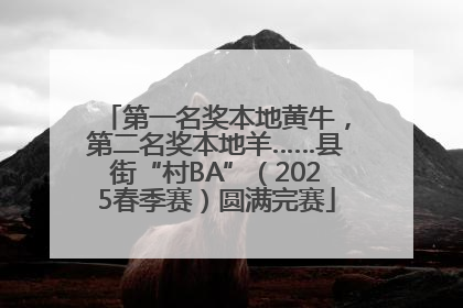 第一名奖本地黄牛，第二名奖本地羊……县街“村BA”（2025春季赛）圆满完赛