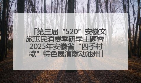 第三届“520”安徽文旅惠民消费季研学主题暨 2025年安徽省“四季村歌”特色展演燃动池州