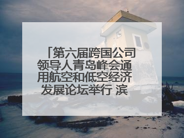 第六届跨国公司领导人青岛峰会通用航空和低空经济发展论坛举行 滨州市全方位推介低空经济发展优势
