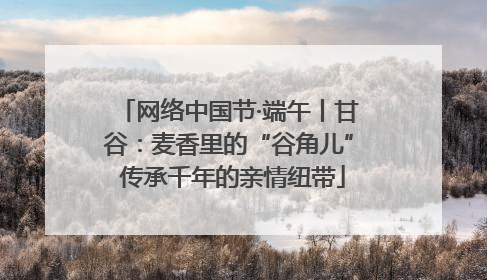网络中国节·端午丨甘谷：麦香里的“谷角儿” 传承千年的亲情纽带