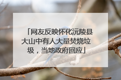 网友反映怀化沅陵县大山中有人大量焚烧垃圾，当地政府回应