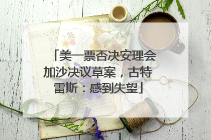 美一票否决安理会加沙决议草案，古特雷斯：感到失望