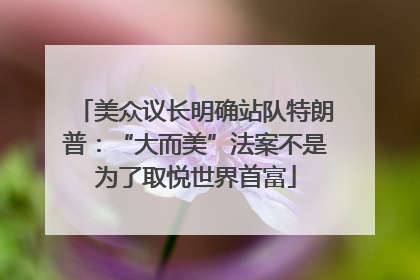 美众议长明确站队特朗普：“大而美”法案不是为了取悦世界首富