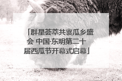 群星荟萃共襄瓜乡盛会 中国·东明第二十届西瓜节开幕式启幕