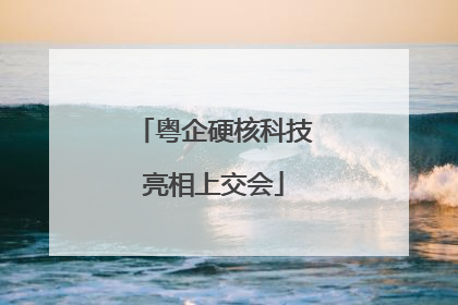 粤企硬核科技亮相上交会