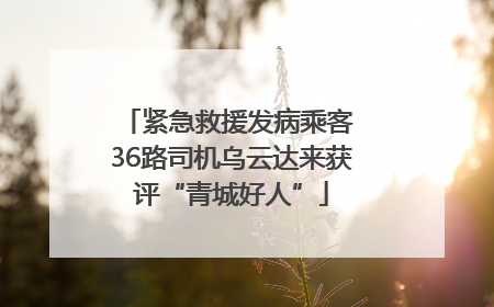 紧急救援发病乘客 36路司机乌云达来获评“青城好人”