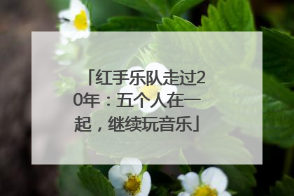 红手乐队走过20年：五个人在一起，继续玩音乐