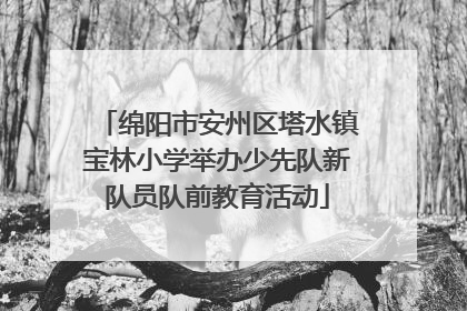绵阳市安州区塔水镇宝林小学举办少先队新队员队前教育活动