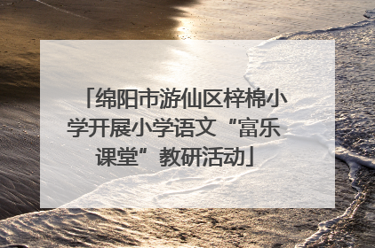 绵阳市游仙区梓棉小学开展小学语文“富乐课堂”教研活动