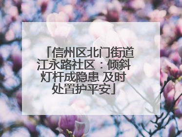 信州区北门街道江永路社区：倾斜灯杆成隐患 及时处置护平安