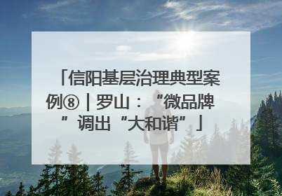 信阳基层治理典型案例⑧｜罗山：“微品牌”调出“大和谐”