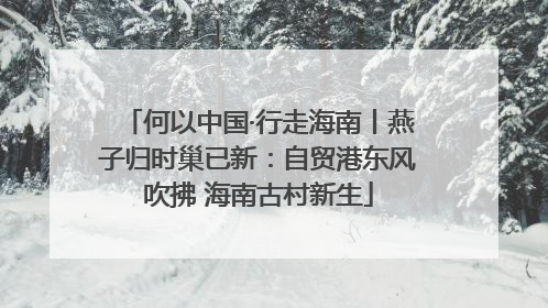 何以中国·行走海南丨燕子归时巢已新：自贸港东风吹拂 海南古村新生