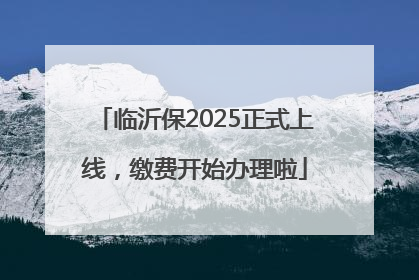 临沂保2025正式上线，缴费开始办理啦