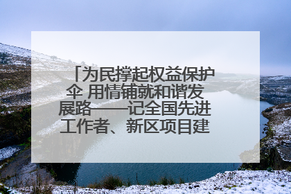 为民撑起权益保护伞 用情铺就和谐发展路——记全国先进工作者、新区项目建设中心干部卢小勇