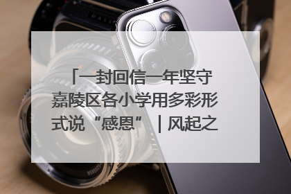 一封回信一年坚守 嘉陵区各小学用多彩形式说“感恩”｜风起之江 扶摇直上