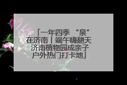 一年四季 “泉”在济南丨端午嗨翻天 济南植物园成亲子户外热门打卡地