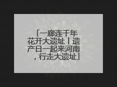 一廊连千年 花开大遗址丨遗产日一起来河南，行走大遗址