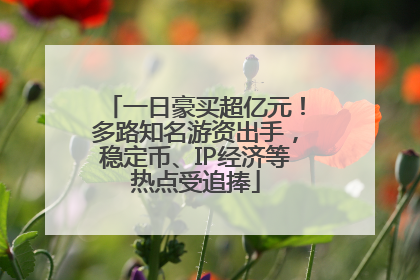 一日豪买超亿元！多路知名游资出手，稳定币、IP经济等热点受追捧