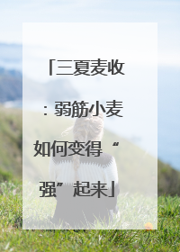 三夏麦收：弱筋小麦如何变得“强”起来