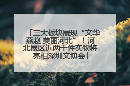 三大板块展现“文华燕赵 美丽河北”！河北展区近两千件实物将亮相深圳文博会