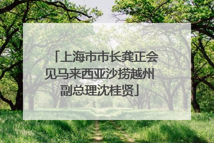 上海市市长龚正会见马来西亚沙捞越州副总理沈桂贤