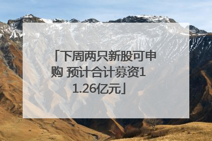 下周两只新股可申购 预计合计募资11.26亿元