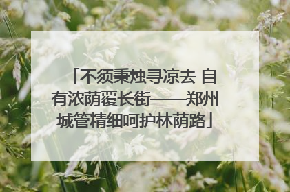 不须秉烛寻凉去 自有浓荫覆长街——郑州城管精细呵护林荫路