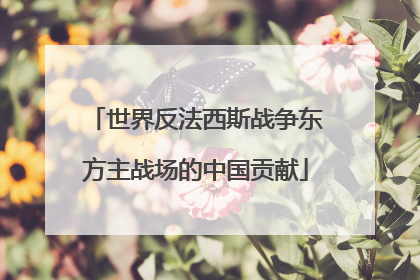 世界反法西斯战争东方主战场的中国贡献