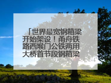 世界最宽钢箱梁开始架设！甬舟铁路西堠门公铁两用大桥首节段钢箱梁架设启动