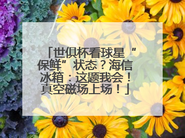 世俱杯看球星“保鲜”状态？海信冰箱：这题我会！真空磁场上场！